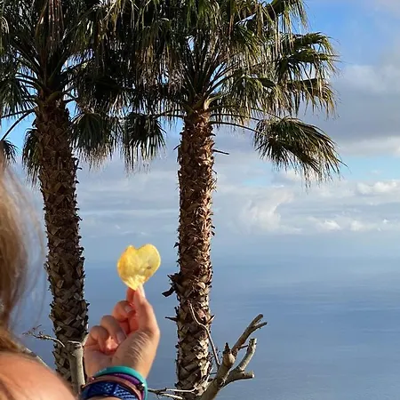 Paraiso - Traumgarten, Meerblick, Wandern Und Golf Willa Funchal (Madeira)