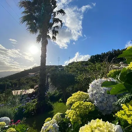 Paraiso - Traumgarten, Meerblick, Wandern Und Golf * Funchal (Madeira)