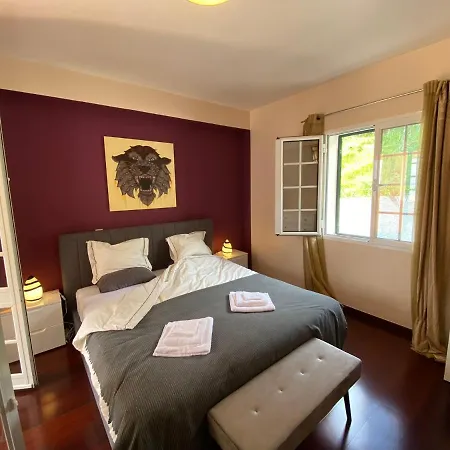 Willa Paraiso - Traumgarten, Meerblick, Wandern Und Golf Funchal (Madeira)