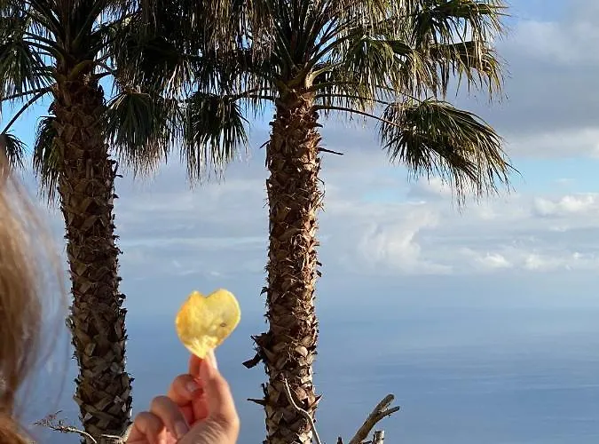 Paraiso - Traumgarten, Meerblick, Wandern Und Golf Willa Funchal (Madeira)