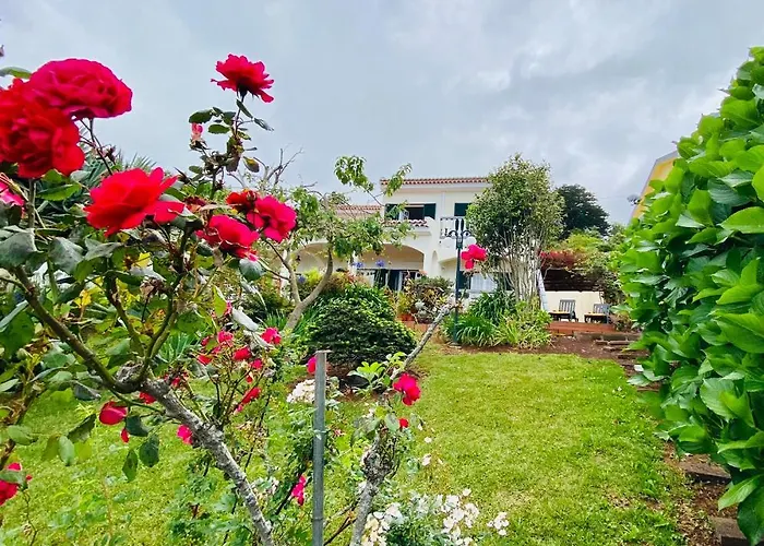Paraiso - Traumgarten, Meerblick, Wandern Und Golf * فونشال
