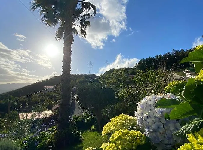 Paraiso - Traumgarten, Meerblick, Wandern Und Golf * フンシャル